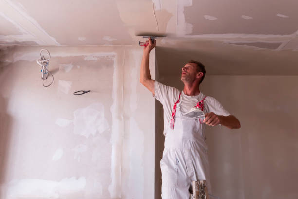 Best Drywall Installation  in Countryside, VA